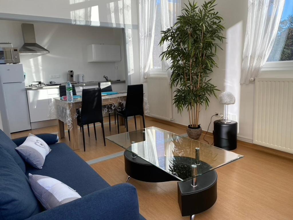 Demeure Des Dentelles Avec Parking Gratuit Bed & Breakfast Le Puy-en-Velay Eksteriør bilde
